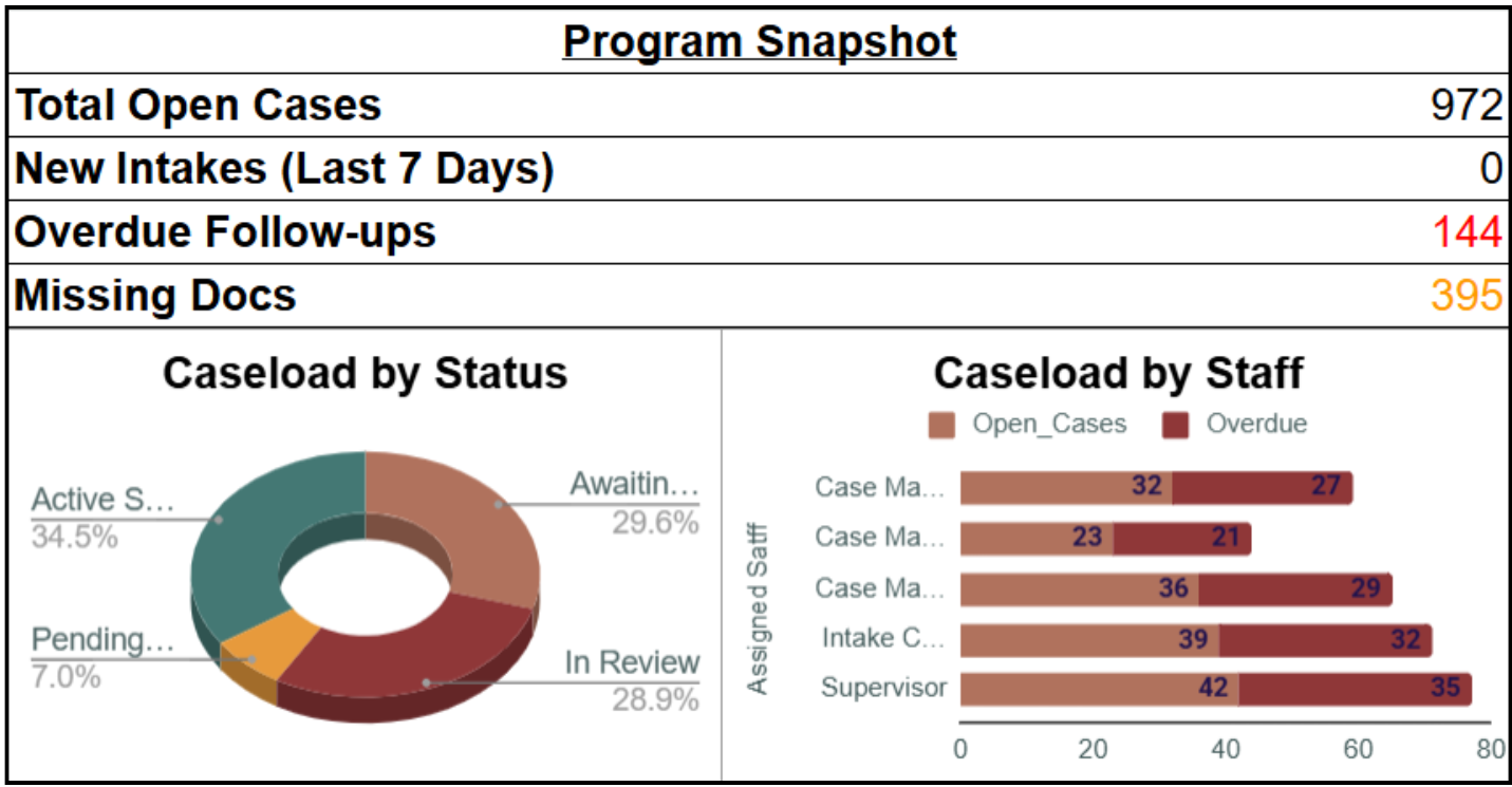 Case Management Program Snapshot Dashboard GIF